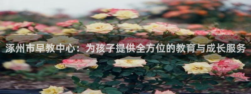恒行2王74OOO5：涿州市早教中心：为孩子提供全方位的教育与成长服务