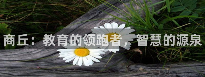 恒行2蒋74OOO5：商丘：教育的领跑者，智慧的源泉
