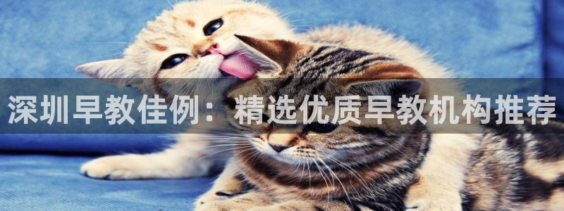 恒在5行中代表什么数字：深圳早教佳例：精选优质早教机构推荐