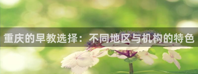 恒行2地74OOO5：重庆的早教选择：不同地区与机构的特色