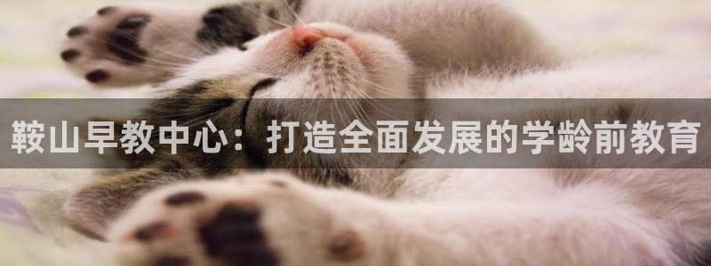 恒行5娱乐：鞍山早教中心：打造全面发展的学龄前教育