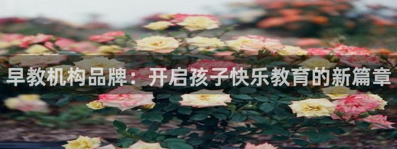 恒行娱乐鸟74ooo5判官：早教机构品牌：开启孩子快乐教育的新篇章