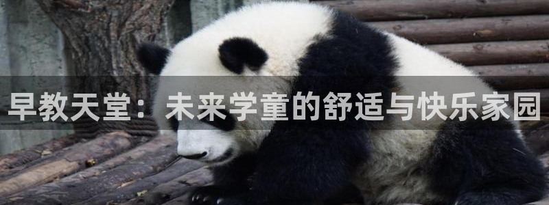 恒行娱乐毓婆74ooo5仪：早教天堂：未来学童的舒适与快乐家园