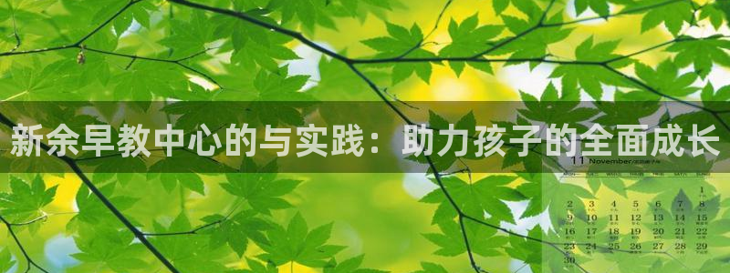 恒行2杨74OOO5：新余早教中心的与实践：助力孩子的全面成长