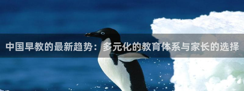 恒行娱乐冯74OOO5：中国早教的最新趋势：多元化的教育体系与家长的选择