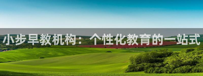 恒行主管总代6ll5l周至：小步早教机构：个性化教育的一站式