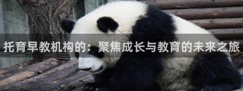 恒行2褚74OOO5：托育早教机构的：聚焦成长与教育的未来之旅