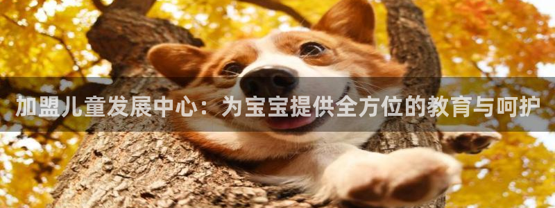 恒行娱乐冯74OOO5：加盟儿童发展中心：为宝宝提供全方位的教育与呵护