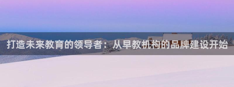恒行2陈74OOO5：打造未来教育的领导者：从早教机构的品牌建设开始
