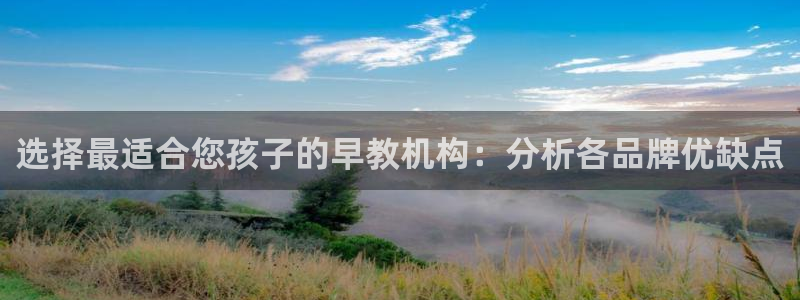 恒行2王74OOO5：选择最适合您孩子的早教机构：分析各品牌优缺点