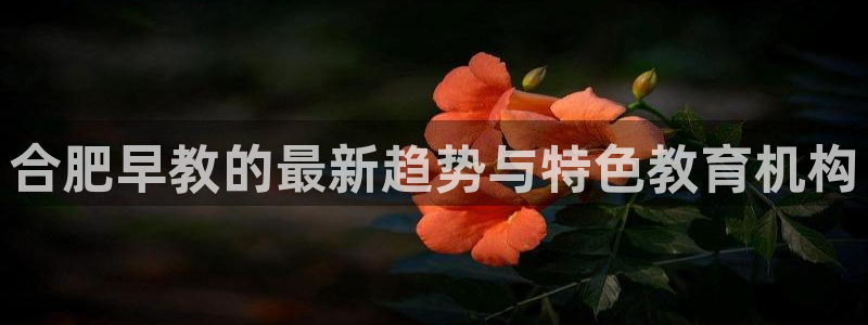恒行娱乐冯74OOO5：合肥早教的最新趋势与特色教育机构