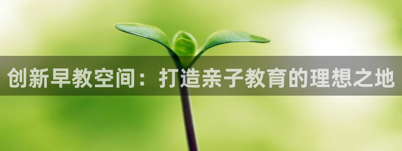 恒行娱乐5ll533主管耐心：创新早教空间：打造亲子教育的理想之地