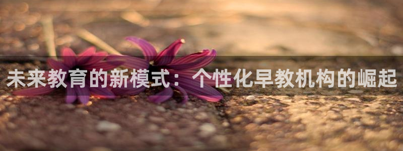 恒行主管6ll5l指定：未来教育的新模式：个性化早教机构的崛起