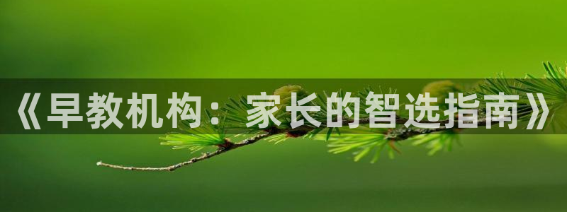 恒在5行中代表什么数字：《早教机构：家长的智选指南》