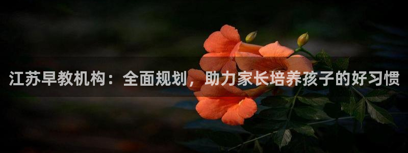 恒行娱乐吴74OOO5:江苏早教机构:全面规划,助力家长培养孩子的好习惯