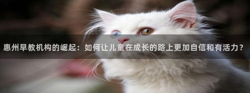 恒行娱乐蜗74ooo5指磁：惠州早教机构的崛起：如何让儿童在成长的路上更加自信和