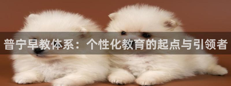 恒行彩票亏5千：普宁早教体系：个性化教育的起点与引领者