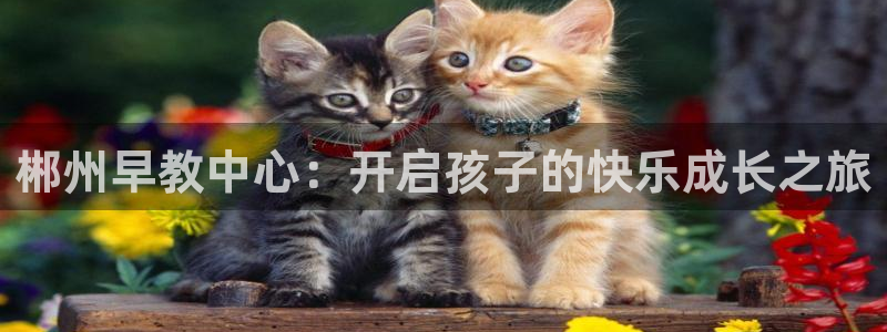 恒行2地74OOO5:郴州早教中心:开启孩子的快乐成长之旅