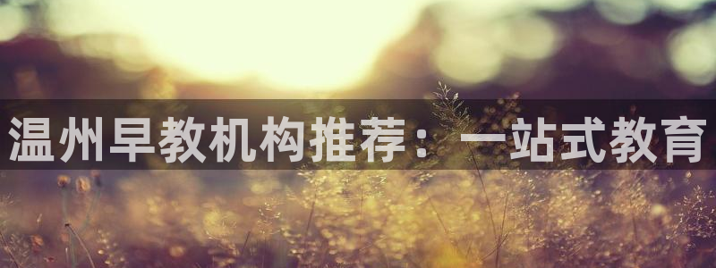 恒行注册全2O5O5O:温州早教机构推荐:一站式教育