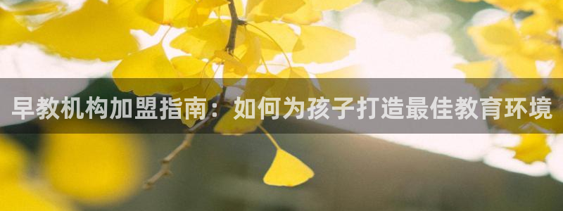 恒行彩票亏5千:早教机构加盟指南:如何为孩子打造最佳教育环境