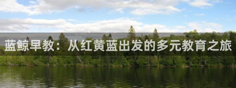 恒行娱乐冯74OOO5：蓝鲸早教：从红黄蓝出发的多元教育之旅