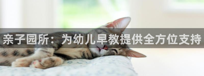 恒行2周74OOO5：亲子园所：为幼儿早教提供全方位支持