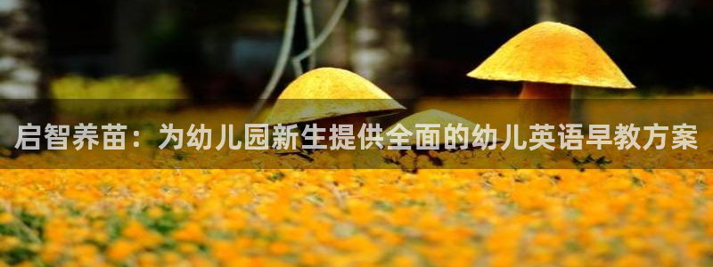 恒行娱乐蒋74OOO5：启智养苗：为幼儿园新生提供全面的幼儿英语早教方案
