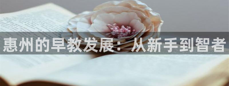 恒行娱乐景74ooo5诿抢：惠州的早教发展：从新手到智者