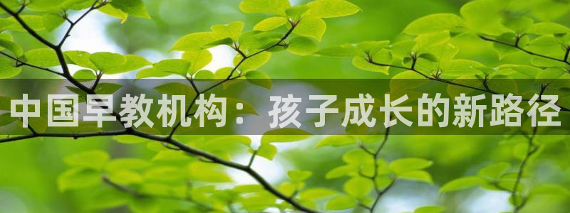 恒行娱乐河沂74ooo5程：中国早教机构：孩子成长的新路径