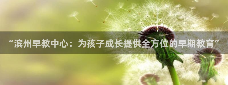 恒行登录老大6ll5l典型：“滨州早教中心：为孩子成长提供全方位的早期教育”