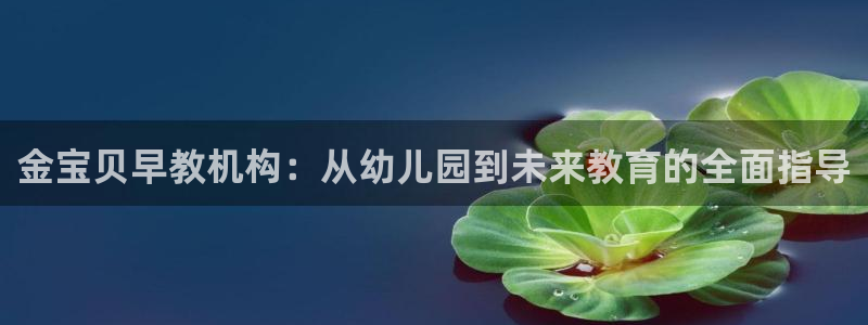恒行2王74OOO5：金宝贝早教机构：从幼儿园到未来教育的全面指导