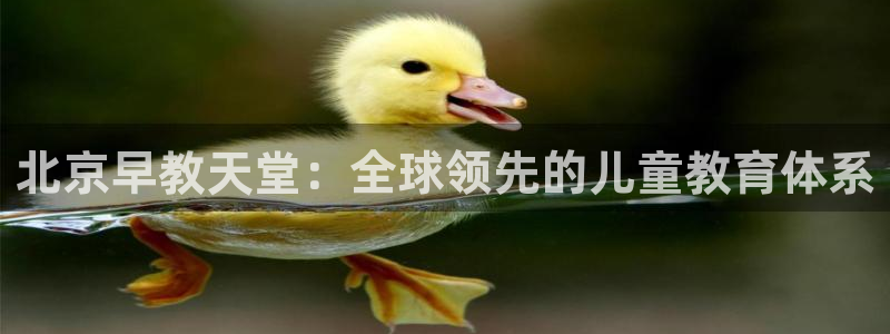 恒行2韩74OOO5：北京早教天堂：全球领先的儿童教育体系