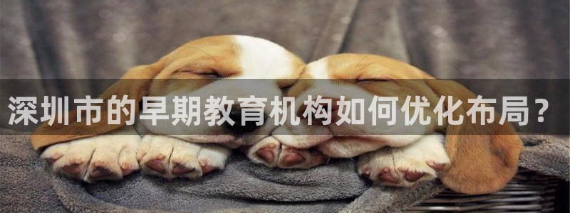 恒行主管总代6ll5l周至：深圳市的早期教育机构如何优化布局？