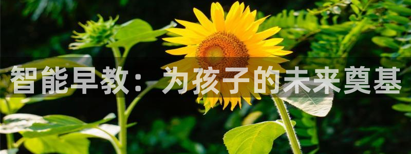 恒行2沈74OOO5：智能早教：为孩子的未来奠基