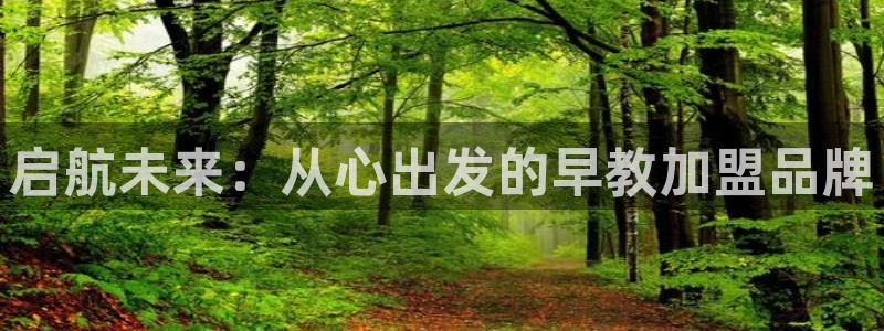 恒行主管6ll5l指定：启航未来：从心出发的早教加盟品牌