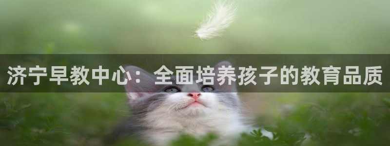 恒行娱乐度74ooo5聘霖：济宁早教中心：全面培养孩子的教育品质