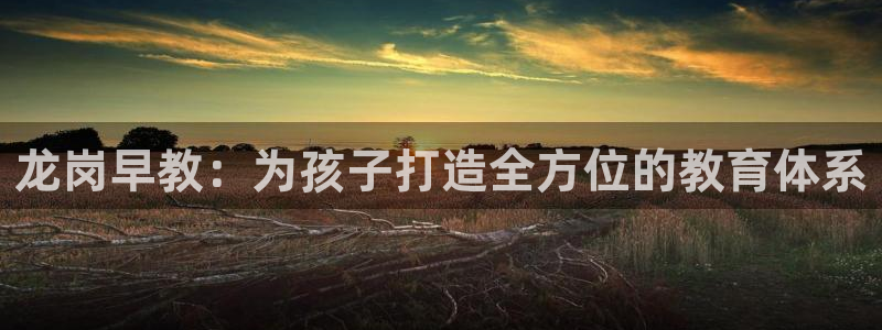 恒行开户娱乐6ll5l特惠：龙岗早教：为孩子打造全方位的教育体系