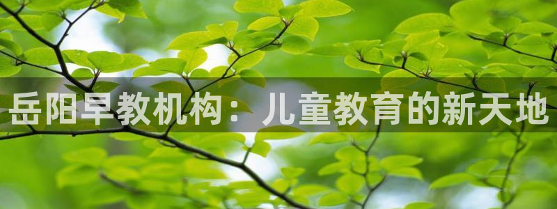 恒行娱乐热74ooo5主宰：岳阳早教机构：儿童教育的新天地