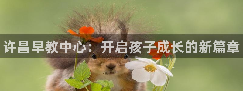 恒行娱乐招收点赞5ll533主管：许昌早教中心：开启孩子成长的新篇章