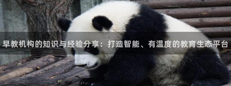 恒行娱乐5ll533主管耐心：早教机构的知识与经验分享：打造智能、有温度的教育生