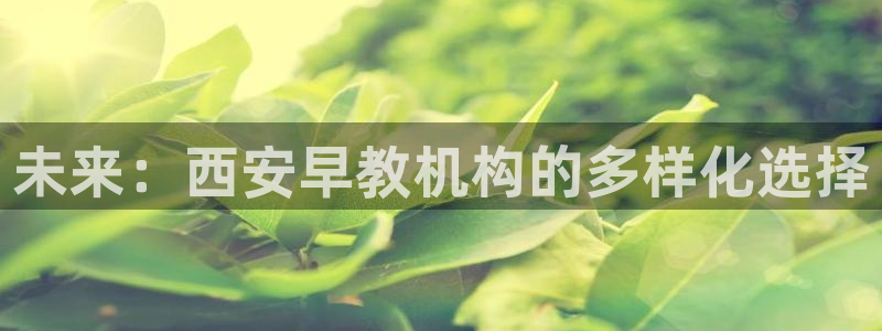 恒行娱乐毓婆74ooo5仪：未来：西安早教机构的多样化选择