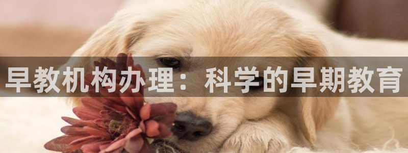 恒行娱乐老板推荐5ll533主管：早教机构办理：科学的早期教育