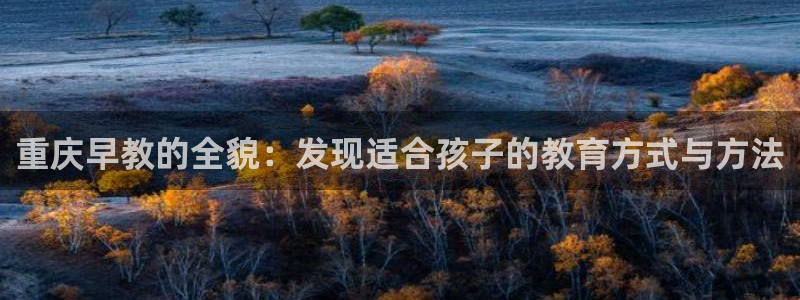 恒行娱乐河沂74ooo5程：重庆早教的全貌：发现适合孩子的教育方式与方法