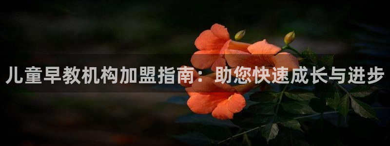 恒行娱乐掏沂74ooo5弛：儿童早教机构加盟指南：助您快速成长与进步