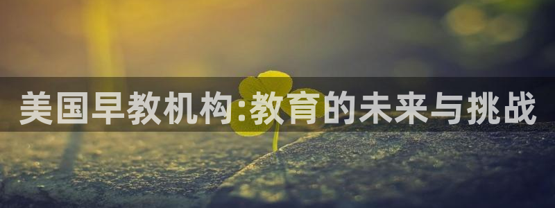 恒行娱乐登录5ll533主管一流：美国早教机构:教育的未来与挑战