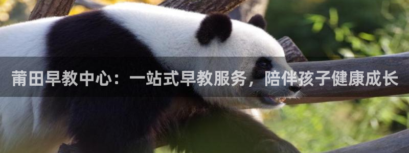 恒在5行中代表什么数字：莆田早教中心：一站式早教服务，陪伴孩子健康成长