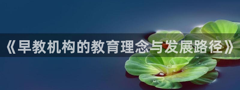 恒行2王74OOO5：《早教机构的教育理念与发展路径》