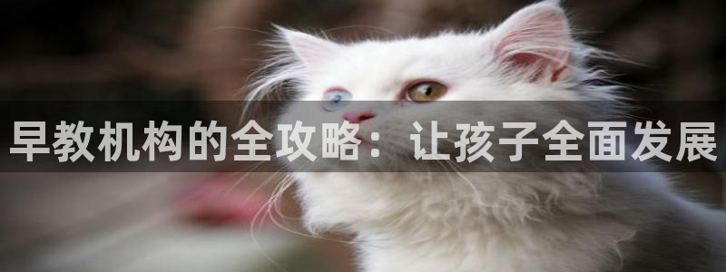 恒行彩票亏5千：早教机构的全攻略：让孩子全面发展