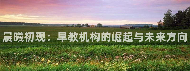 恒行开户娱乐6ll5l特惠：晨曦初现：早教机构的崛起与未来方向