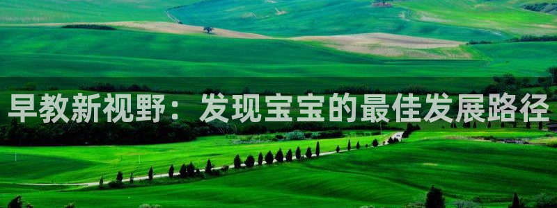 恒行登录老大6ll5l典型：早教新视野：发现宝宝的最佳发展路径